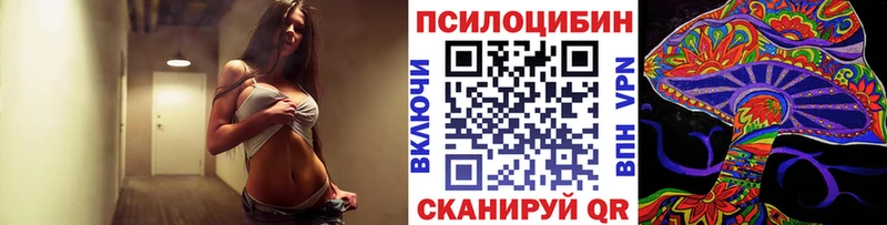 Псилоцибиновые грибы Psilocybe  Карачаевск 